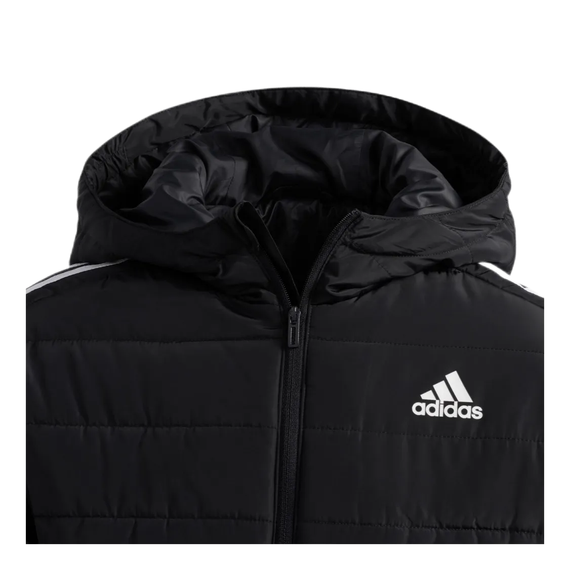 Boys Puffer Jkt Black