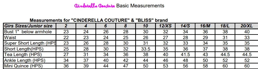 Floral Sequin A-Line Gown by Cinderella Couture USA AS8022J-blue - Special Occasion/Curves
